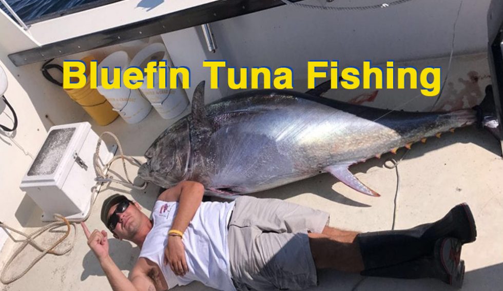 Blue Fin Tuna Fishing Charters Gloucester Massachusetts