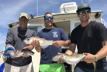 Gloucester MA Fishing Charters