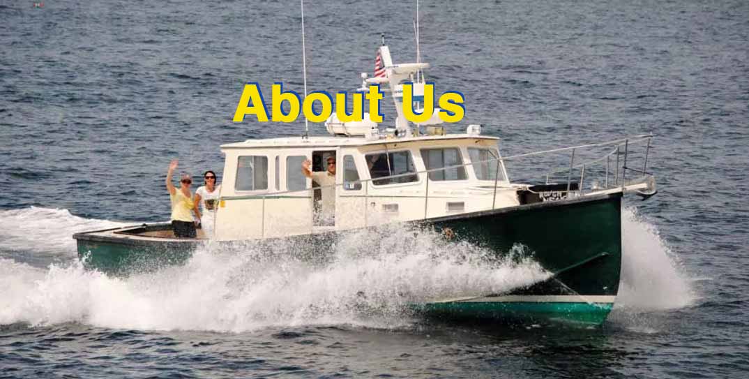 gloucester ma fishing and sightseeing tours