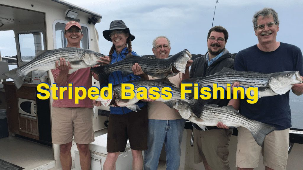 Gloucester MA Striped Bass Fishing Charters