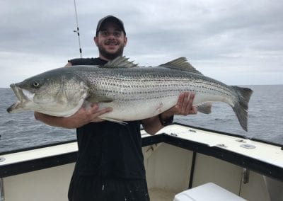 striped-bass-fishing-charters-gloucester-massachusetts/