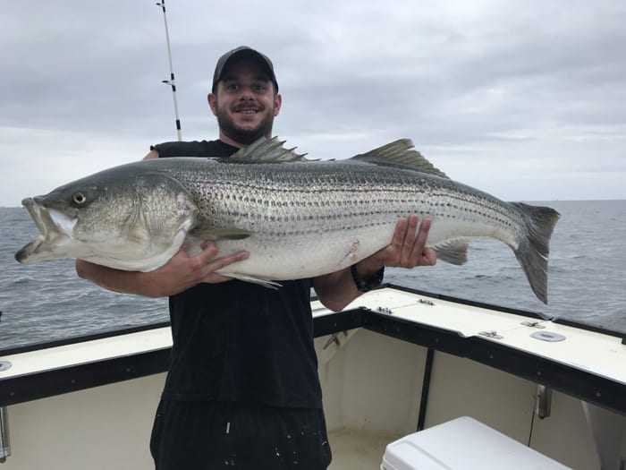 Striped Bass Fishing Charters Gloucester Massachusetts